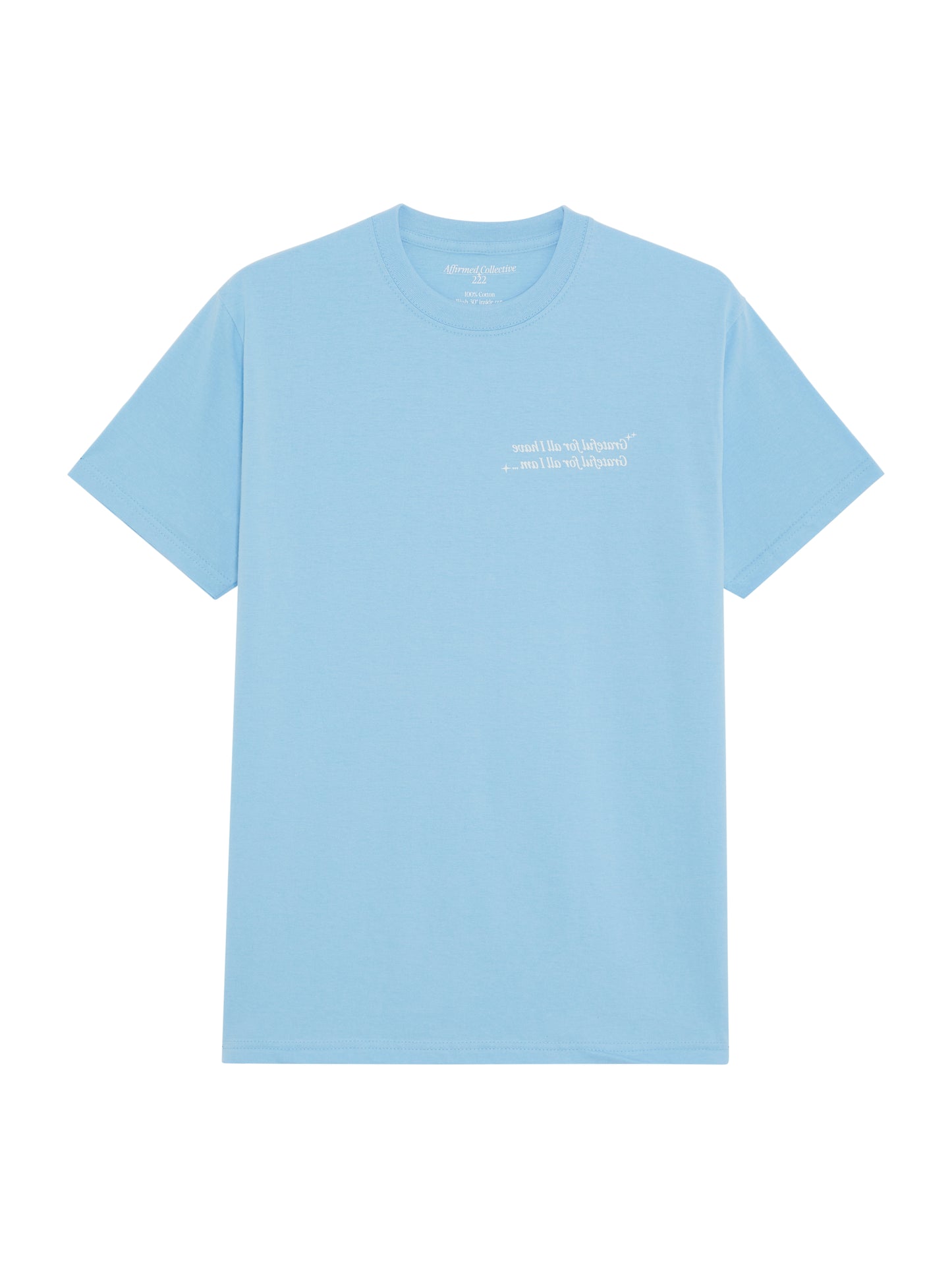 Gratitude Tee